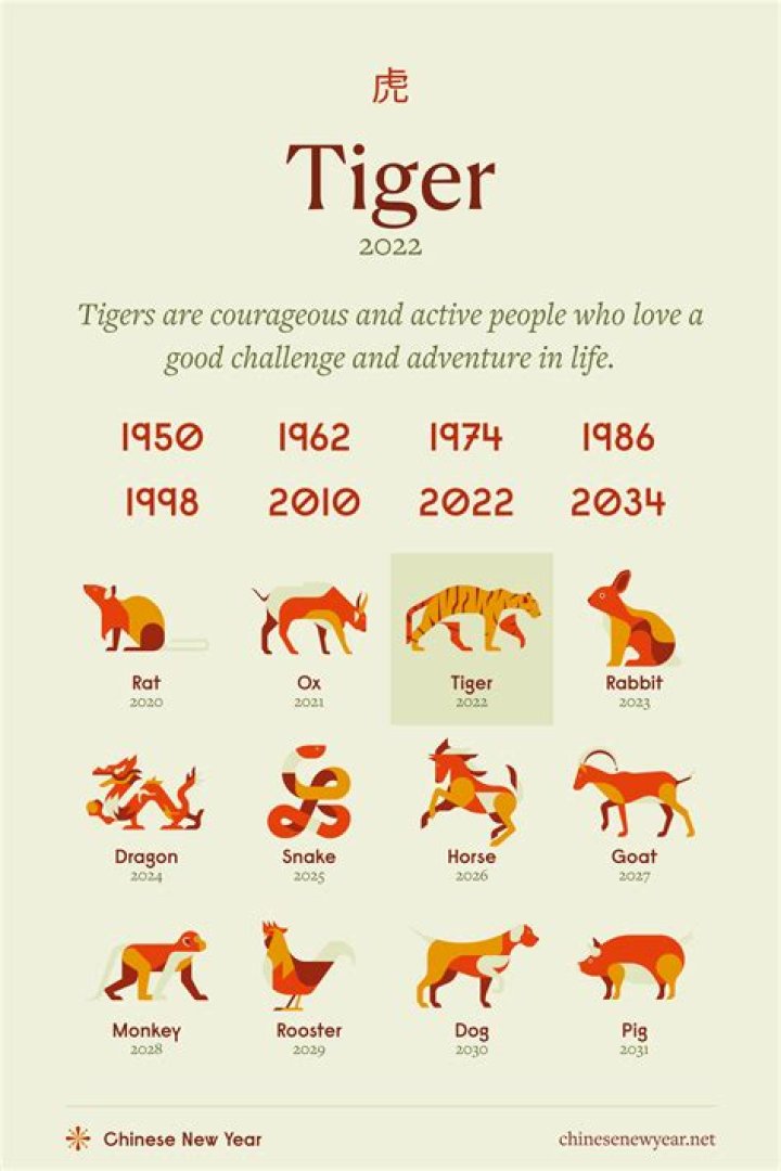 1974 Chinese Zodiac: Everything You Need to Know About the Year of the Tiger