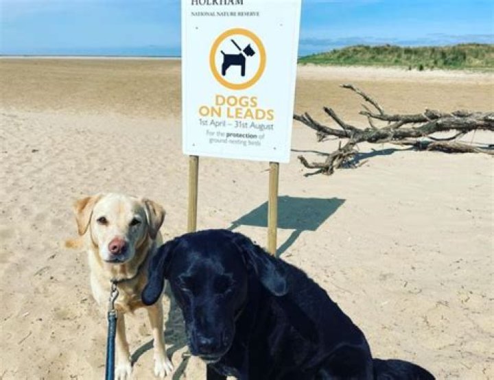 Andrew Cotter Partner: A Comprehensive Guide to His Life, Career, and Achievements