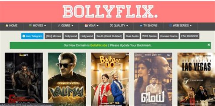 BollyFlix.in: Your Ultimate Destination for Bollywood Entertainment