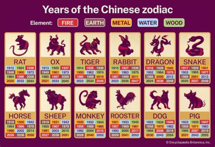 Chinese Zodiac 1986: Discover Your Animal and Element