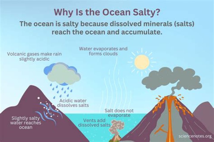 Does Salt Under the Tongue Really Work? Exploring the Facts and Myths