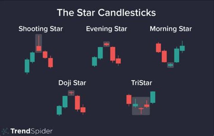 Lily Cates: The Rising Star in the Entertainment Industry