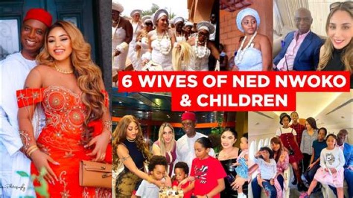 Ned Nwoko First Wife: A Comprehensive Look into Her Life and Influence