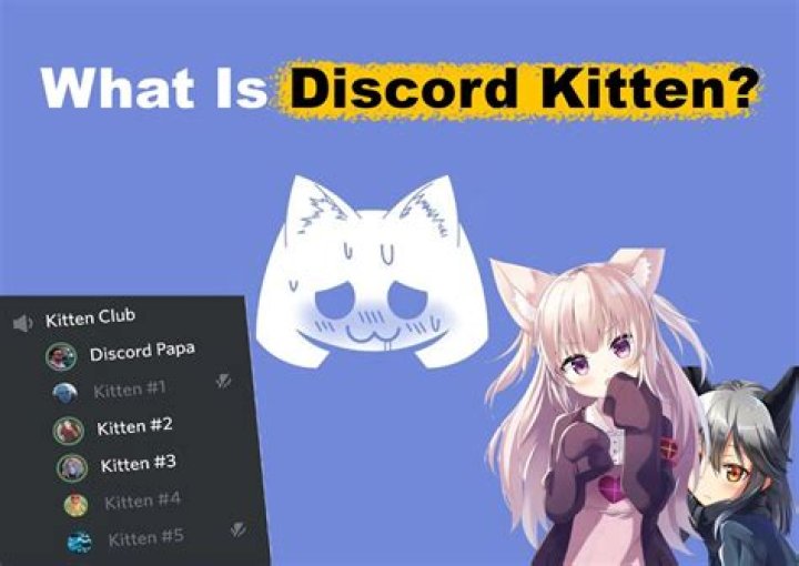 What is a Discord Kitten? A Comprehensive Guide to Understanding the Trend