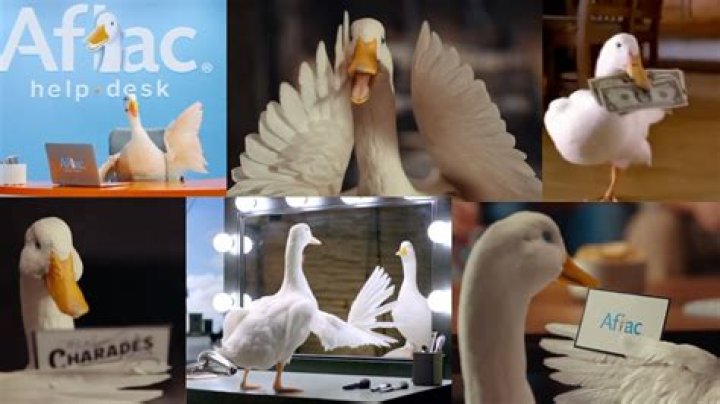 What Type of Insurance is AFLAC? A Comprehensive Guide